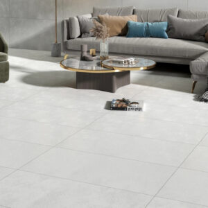 Skyline GR Sleek Grey Tile with Velvet Finish 24x48 (O-VV12-G) (2)